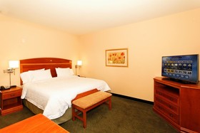 Hampton Inn Montrose