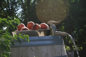 Dreamcatcher Bed and Breakfast