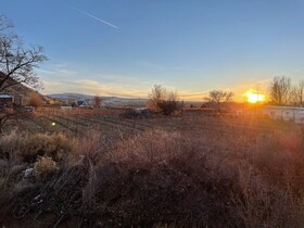 The Homestead