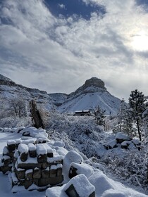 The Homestead