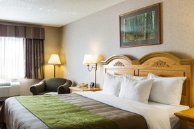 Comfort Inn & Suites Rifle