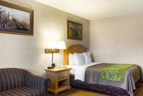 Comfort Inn & Suites Rifle