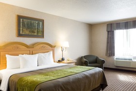 Comfort Inn & Suites Rifle