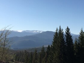 Buffalo Ridge