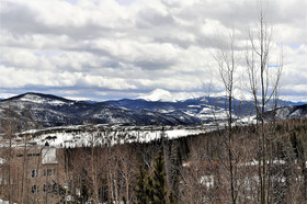 Forest Park