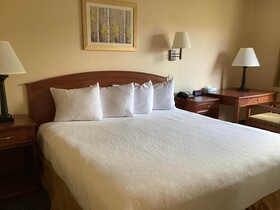 Luxury Inn and Suites