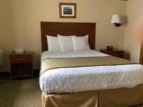 Luxury Inn and Suites