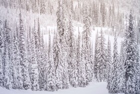 Seasons Four Condos By iTrip Vacations Aspen-Snowmass