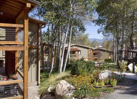 Tamarack Townhomes