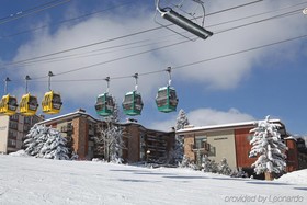 Tamarack Townhomes