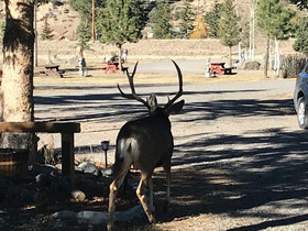 Grandview Cabins & RV Resort