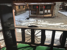 Grandview Cabins & RV Resort