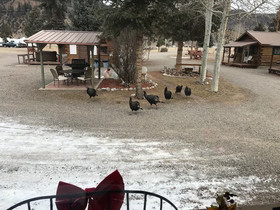 Grandview Cabins & RV Resort