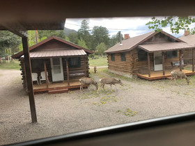 Grandview Cabins & RV Resort