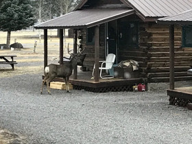 Grandview Cabins & RV Resort