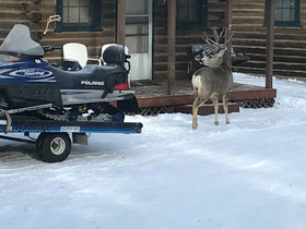 Grandview Cabins & RV Resort