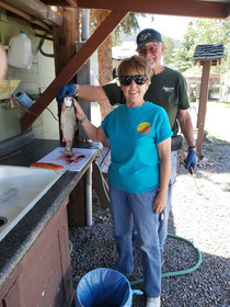 Grandview Cabins & RV Resort