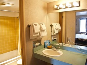 Alpiner Lodge Motel