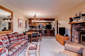 Bronze Tree Condominiums