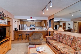 Bronze Tree Condominiums