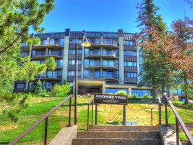 Bronze Tree Condominiums
