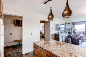 Bronze Tree Condominiums