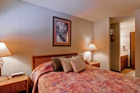 Bronze Tree Condominiums