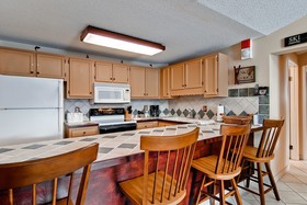 Bronze Tree Condominiums