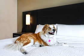 Residence Inn Steamboat Springs