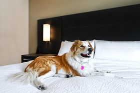 Residence Inn Steamboat Springs