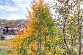 The West Condominiums by Wyndham Vacation Rentals