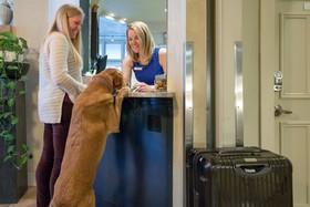 Hotel Columbia by Alpine Lodging Telluride