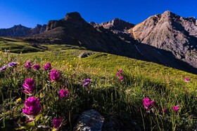 Outlaws at Mountain Village by Telluride Resort Lodging