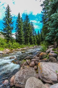 Aspen at Streamside