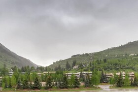 Lion Vail by East West
