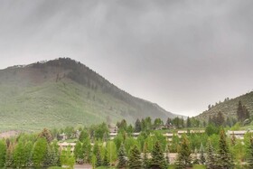 Lion Vail by East West