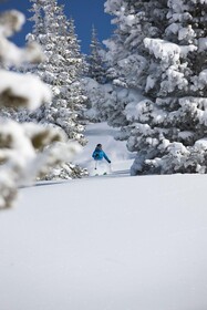 Simba Run Vail