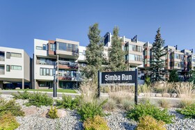 Simba Run Vail