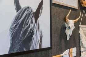 Hyatt Place Denver / Westminster