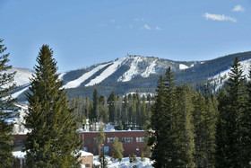 Arrow by Winter Park Escapes