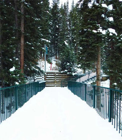 Iron Horse by Stay Winter Park
