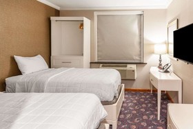 Umbrella Hotel Brooklyn