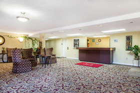 Gold Star Inn & Suites