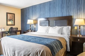 Comfort Inn & Suites Conference Center