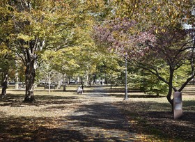 Graduate by Hilton New Haven
