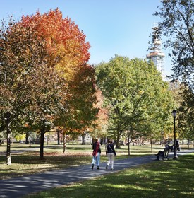 Graduate by Hilton New Haven