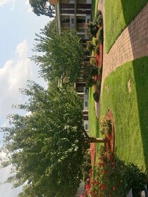 Super 8 by Wyndham Dover