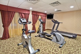 Holiday Inn Express & Suites Harrington