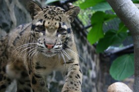 Embassy Suites Newark Wilmington South