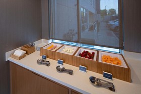 SpringHill Suites Newark Downtown